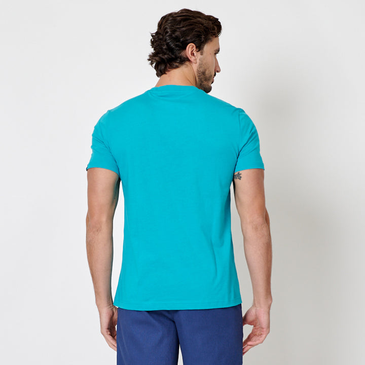 Verde Azulado 3