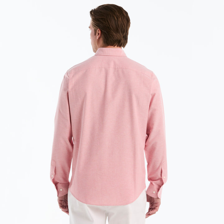 Rosa 3